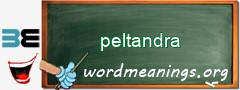 WordMeaning blackboard for peltandra